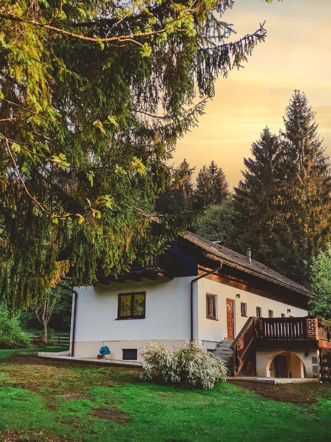 Апартаменты Ferienhaus Mooshuben Мариацелль Экстерьер фото